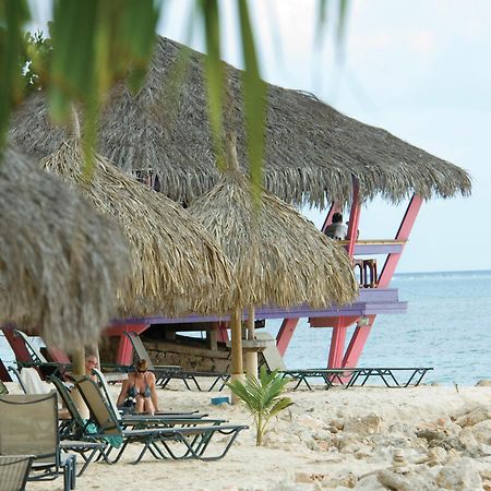 Divi Dutch Village Beach Resort Palm Beach Esterno foto