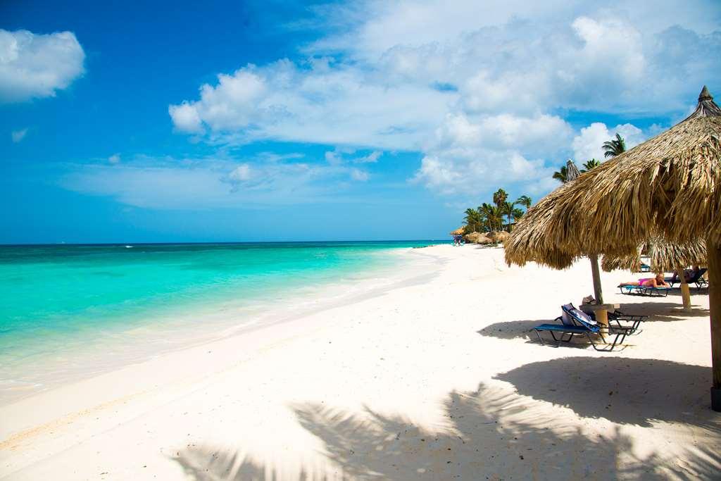 Divi Dutch Village Beach Resort Palm Beach Natura foto