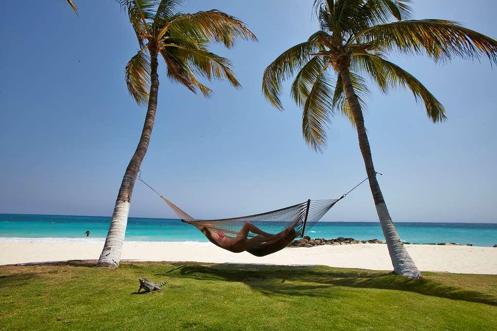 Divi Dutch Village Beach Resort Palm Beach Natura foto