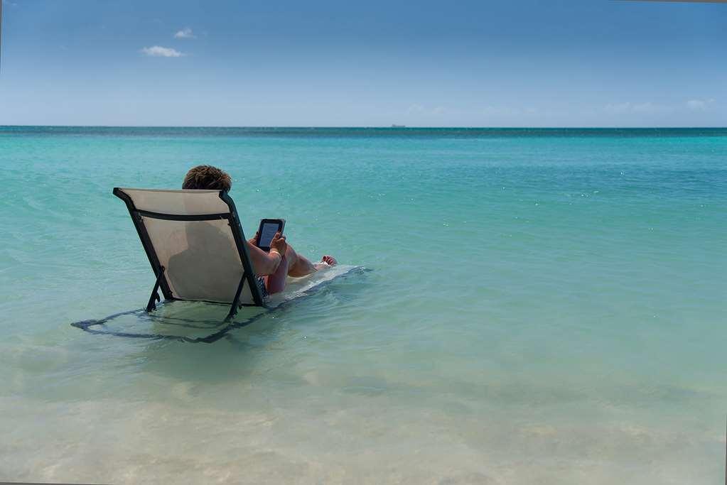 Divi Dutch Village Beach Resort Palm Beach Natura foto